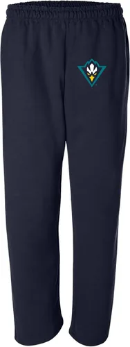 Miniatura 26 de UGP Campus Apparel NCAA Primary Logo - Pantalones deportivos universitarios del equipo deportivo Iowa Hawkeyes Negro