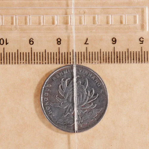 Miniatura 2 de Amaney - Cuerda elástica de 0.031 pulgadas, cuerda elástica de cristal para pulseras, cuentas y fabricación de joyas, color blanco