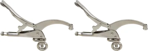 WEN Abrazadera de prensa de taladro 430DPC, 12 pulgadas (paquete de 2)