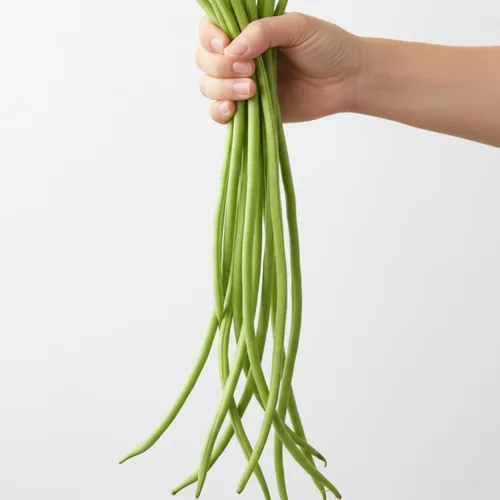 Miniatura 5 de Semillas de frijoles largos para plantar, 1.06 oz, aproximadamente 120 semillas de vegetales asiáticos, frijoles chinos de yardas, una alternativa