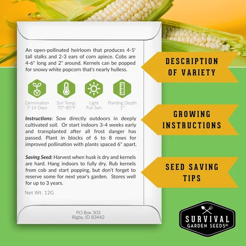 Miniatura 2 de Survival Garden Seeds - Semilla de Maíz Sin Cáscara Japonés para Plantar - 1 Paquete con Instrucciones para Plantar y Cultivar Deliciosas Palomitas