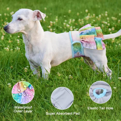 Miniatura 2 de Pañales para perros hembra (paquete de 3), pañales reutilizables para mascotas para perras, lavables, falda de pañal para perros en celo, período