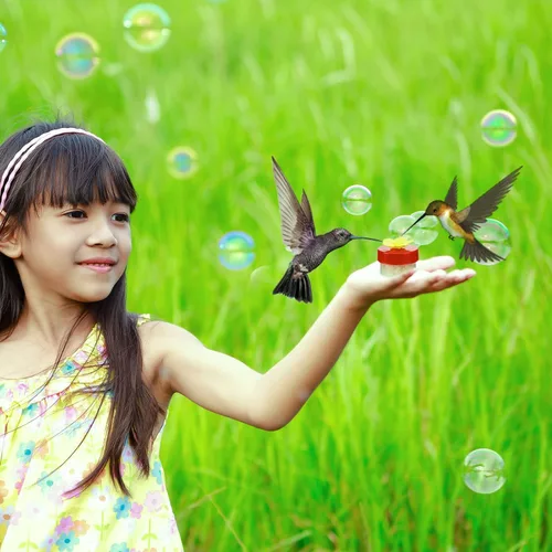 Miniatura 6 de 8 unidades de comedero de colibrí de mano para ventana, mini comedero de mano para colibrí, pájaros salvajes para exteriores, patio, suministros