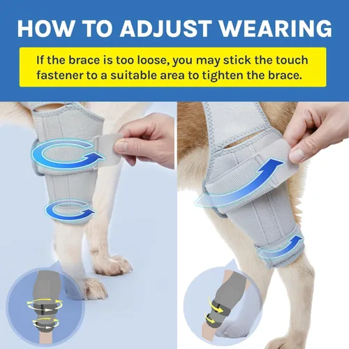 Miniatura 5 de Rodillera para perro para desgarro del ligamento cruzado anterior, soporte de pierna trasera para alivio del dolor articular y lesiones