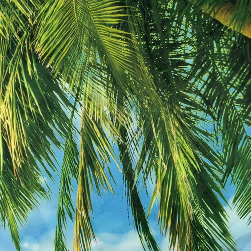 Miniatura 7 de HVEST Tapiz de playa para colgar en la pared, paisaje tropical azul océano, tapiz natural para dormitorio, palmera verde con cielo azul, nube