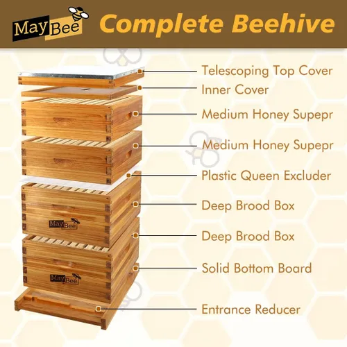 Miniatura 4 de MayBee Colmena Langstroth de 8 marcos sumergida en cera de abejas 100%, kit completo de iniciación de colmenas y suministros de abejas, incluye 2