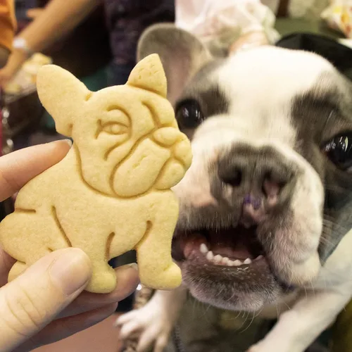 Miniatura 4 de Cortador de galletas Bulldog Francés, 1 pieza - Bakerlogy