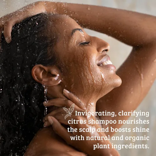 Miniatura 6 de Pharmacopia Champú cítrico – Cuidado natural del cabello con ingredientes vegetales y orgánicos aloe vera, aceite de jojoba, aceite de coco