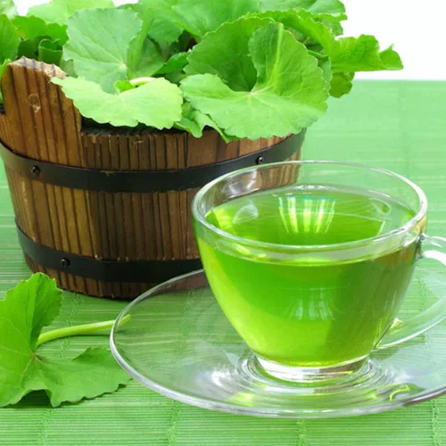 Miniatura 3 de 500 semillas orgánicas prémium de Centella Asiática, Rau Ma, Pennywort, Gotu Kola, semillas de Kodavan - Semillas de hierbas comestibles