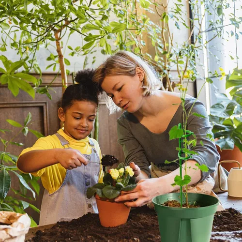 Miniatura 6 de Belit Paquete de 8 estacas de soporte para plantas pequeñas, estacas ajustables de soporte de un solo tallo para jardín, anillo de soporte