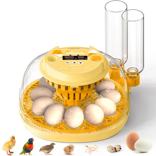 Incubadora de huevos para incubar pollitos, volteador automático de huevos con capacidad para 12 huevos, incubadora inteligente con ventana