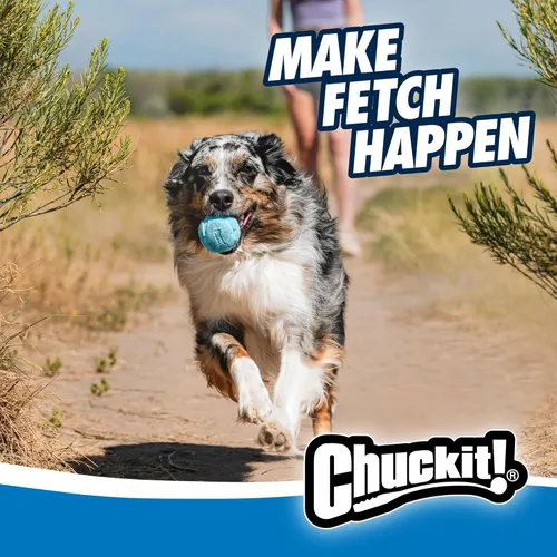 Miniatura 2 de Chuckit! Pelota Rebounce para Perros – Pelotas de buscar rebotantes para perros de 20 a 60 libras – Hecha de goma duradera – Juguetes para mascotas