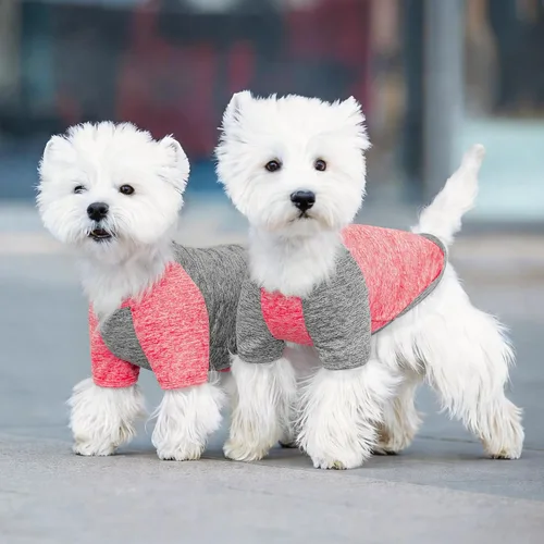 Miniatura 6 de KYEESE Paquete de 2 camisetas para perro con mangas, camisetas ligeras de protección solar para perros pequeños, transpirables para mascotas, ropa