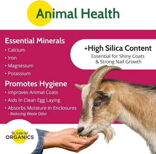 Miniatura 4 de St. Gabriel Laboratories GoodEarth Tierra de diatomeas de grado alimenticio, 4 libras, suplemento de alimentación antiapelmazamiento para ganado