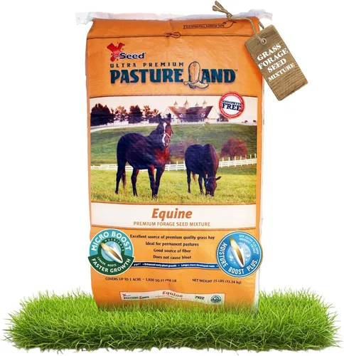 X-Seed Mezcla de semillas de forraje equino con microimpulso para caballos y ganado, pasto sin cortar con trébol, raigrás y verduras perennes,