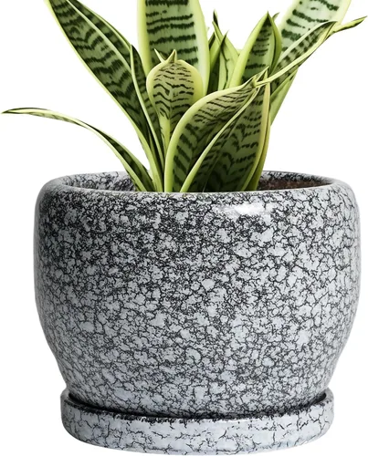 Miniatura 54 de SQOWL Macetas de cerámica – Maceta de 6 pulgadas con orificio de drenaje y bandeja, maceta redonda para plantas de interior, maceta decorativa