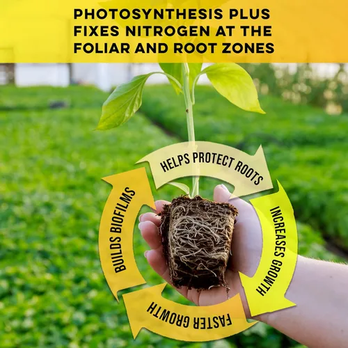 Miniatura 4 de Microbe Life Hydroponics Premium Photosynthesis Plus para cultivar frutas, verduras y hierbas, el mejor crecimiento profesional de cogollos grandes