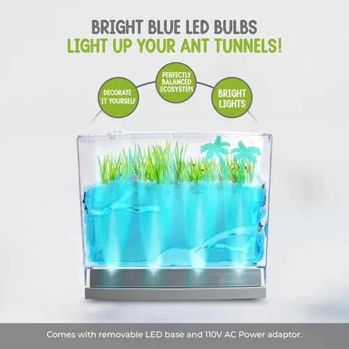 Miniatura 7 de Hábitat de hormigas de gel con iluminación LED con 25 hormigas vivas, juego de eco-terrario, incluye gel nutritivo, semillas, palmeras, rocas y más