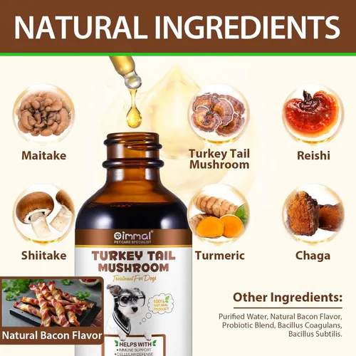 Miniatura 4 de Hongo de cola de pavo para perros, mezcla de hongos, cúrcuma y probiótico para apoyo inmunológico, digestivo y articular, cola de pavo para perros