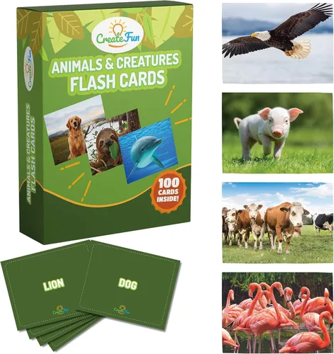 Miniatura 13 de 50 Tarjetas de sustantivos, tarjetas fotográficas educativas divertidas para construir vocabulario para niños, educación en casa, adultos, personas