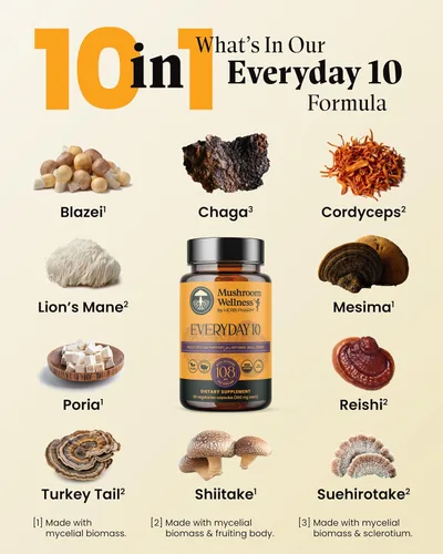 Miniatura 7 de Mushroom Wellness Everyday 10: Cápsulas orgánicas de hongos 10 en 1 con melena de león, shiitake, reishi, cola de pavo y más, suplemento en polvo
