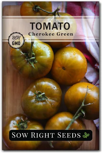 Sow Right Seeds - Semillas de tomate verde Cherokee para plantar - Paquete de reliquia sin OMG con instrucciones para plantar un huerto casero -
