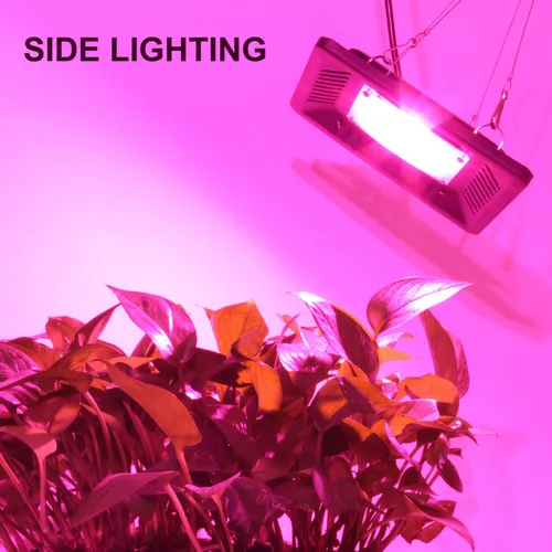 Miniatura 6 de Luz LED impermeable de 100 W de espectro completo, luz LED COB de nueva tecnología, disipación de calor natural sin ruido, adecuado para plantas