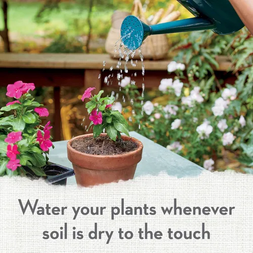 Miniatura 8 de Whitney Farms Suelo orgánico para macetas: mezcla natural para contenedores para interiores y exteriores, tierra orgánica para macetas