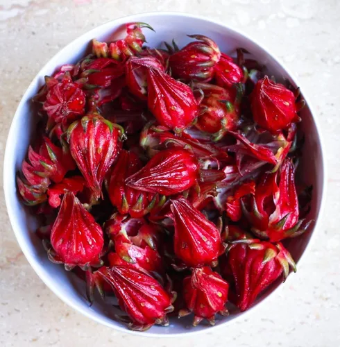 Miniatura 4 de TomorrowSeeds - Semillas de roselle de hibisco rojo - Más de 50 unidades - para plantar 2026 Hibiscus Sabdariffa Birmana Chin Baung Jamaica Hoja