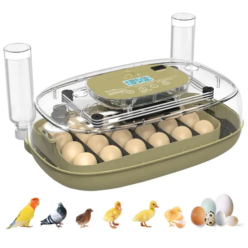 Incubadoras para incubar huevos, incubadora inteligente de 24 huevos con giro automático de huevos y control de humedad, incubadora de alta tasa de