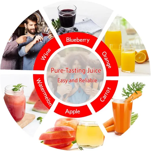 Miniatura 3 de Prensa de vino de frutas de 2.38 galones – Mango en T de servicio pesado y viga transversal, fabricador de jugo de acero inoxidable para manzana