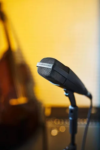 Miniatura 2 de Sennheiser Pro Audio Professional MD 421-II Micrófono dinámico cardioide para instrumentos