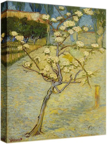 Miniatura 13 de ELITEART -Noche estrellada sobre el ródano por Vincent Van Gogh Giclée Art Canvas Prints- Tamaño del marco: 28 x 35 pulgadas
