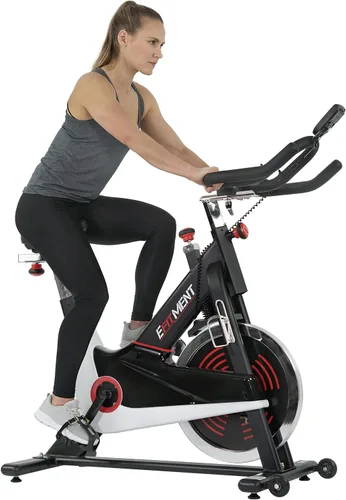 EFITMENT Exercise Bike, Indoor Cycling Bike for Home Cardio, Low Noise Stationary Bikes with Adjustable Magnetic, LCD Monitor, Pulse Grips, Device