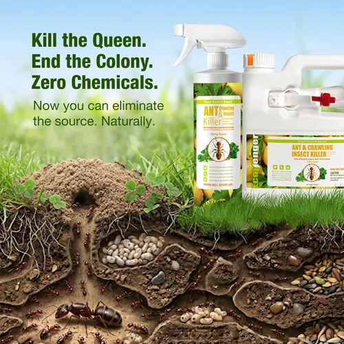 Miniatura 6 de EcoRaider insecticida y hormiguicida (aroma de cítricos) de 16 oz, natural y no tóxico