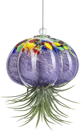 H&D HYALINE & DORA Terrario de cristal soplado a mano colgante con diseño de medusa de aire para plantas de aire, decoración para jardín, porche,