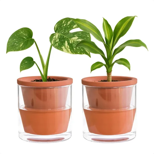 Miniatura 10 de D'vine Dev Maceta de Diseño de Riego Automático de 4 Pulgadas para Plantas de Interior, Maceta de Terracota Azul con Vaso Cilíndrico de Vidrio