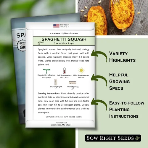 Miniatura 2 de Sow Right Seeds - Semillas de calabaza espagueti para plantar - Paquete de reliquia sin OMG con instrucciones para plantar y cultivar un huerto al