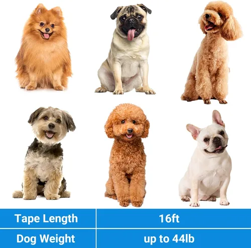 Miniatura 6 de Correa retráctil para perro Segarty, de 16 pies, resistente para caminar con perros medianos y pequeños de hasta 44 libras, mango antideslizante