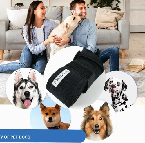 Miniatura 8 de Rodillera para perros – Soporte para patas traseras y patas traseras para perros con osteoartritis, lesiones del ligamento cruzado o recuperación