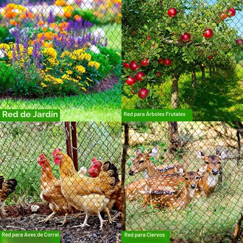 Miniatura 3 de Red para aves para gallinero - 50x50 pies de malla para aves de corral sobre corral de gallinas y corral para pollos, malla de jardín resistente