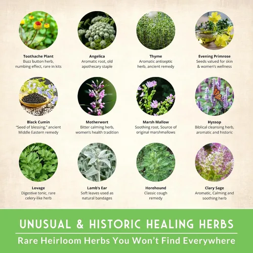 Miniatura 2 de Paquete de Variedad de Semillas de Hierbas Medicinales Ultimate – 36 Hierbas Curativas Heirloom sin OGM para Plantar Kit de Jardín de Bienestar
