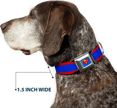 Miniatura 7 de Collar de perro Hebilla de cinturón de seguridad Superman Shield Stripe Rojo Azul 9 a 15 pulgadas 1.0 pulgadas de ancho