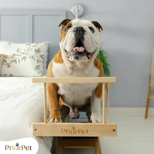 Miniatura 10 de Rampa para perros para cama - Rampa ajustable de madera de abedul PRIORPET para que los perros se suban a la cama: rampas para perros para camas