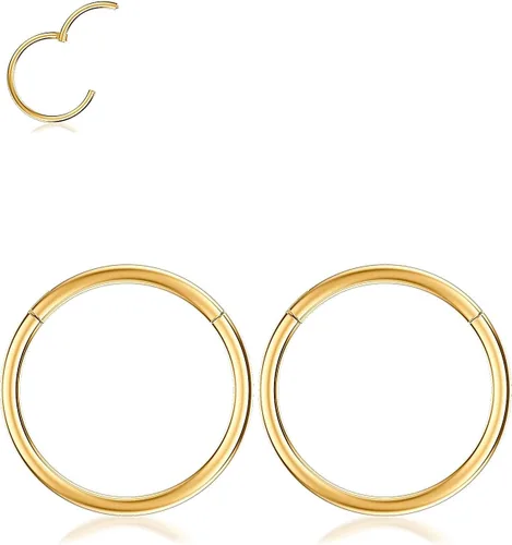 Miniatura 5 de Nose Rings Hoop and Nose Studs Sets for Women Men,Hypoallergenic 316L Surgical Stainless Steel Hinged Clicker Segment Nose Rings Hoop Helix