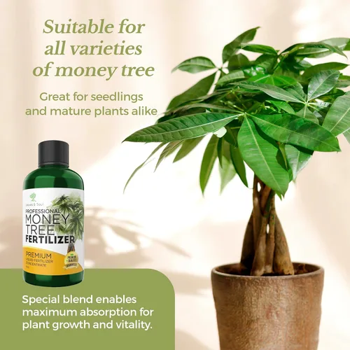 Miniatura 8 de Abono Líquido Profesional para Árbol del Dinero Concentrado 3-1-2 para Plantas y Flores Mezcla Multiusos y Suministros de Jardinería Botella