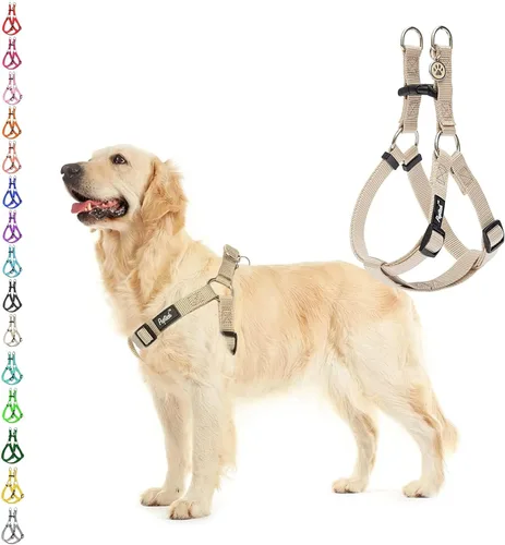 PUPTECK arnés para perro para no jalar, reflejante, ajustable, básico, de nailon, chaleco para cachorro, para caminar al aire libre con etiqueta de