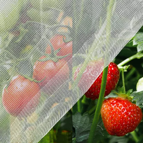 Mosquitera, 8 x 24 pies, red para pájaros para protección de jardín, cubiertas de plantas de insectos para frutas vegetales, red de malla de jardín,
