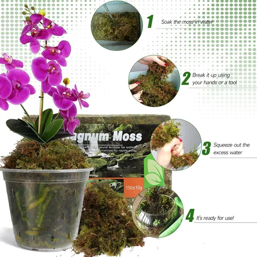 Miniatura 4 de Doter Musgo de bosque seco para plantas (5 cuartos de galón / 1 paquete), musgo para macetas para varias plantas, incluyendo orquídeas, plantas