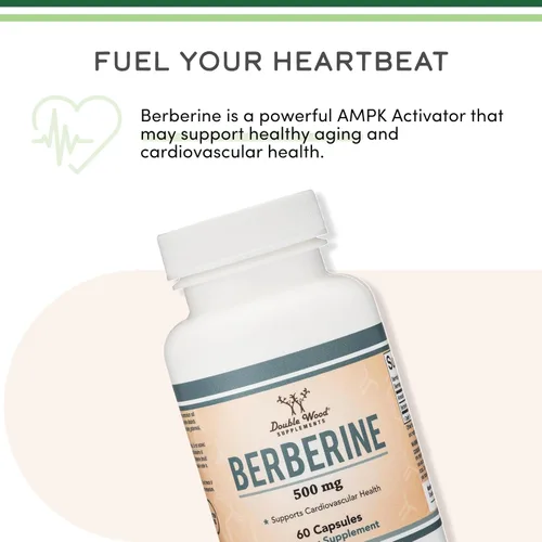 Miniatura 9 de Suplemento de berberina de 500 mg, alta pureza 97% HCl, 60 cápsulas (probado por terceros, sin OMG, sin gluten, apto para veganos) Activador AMPK
